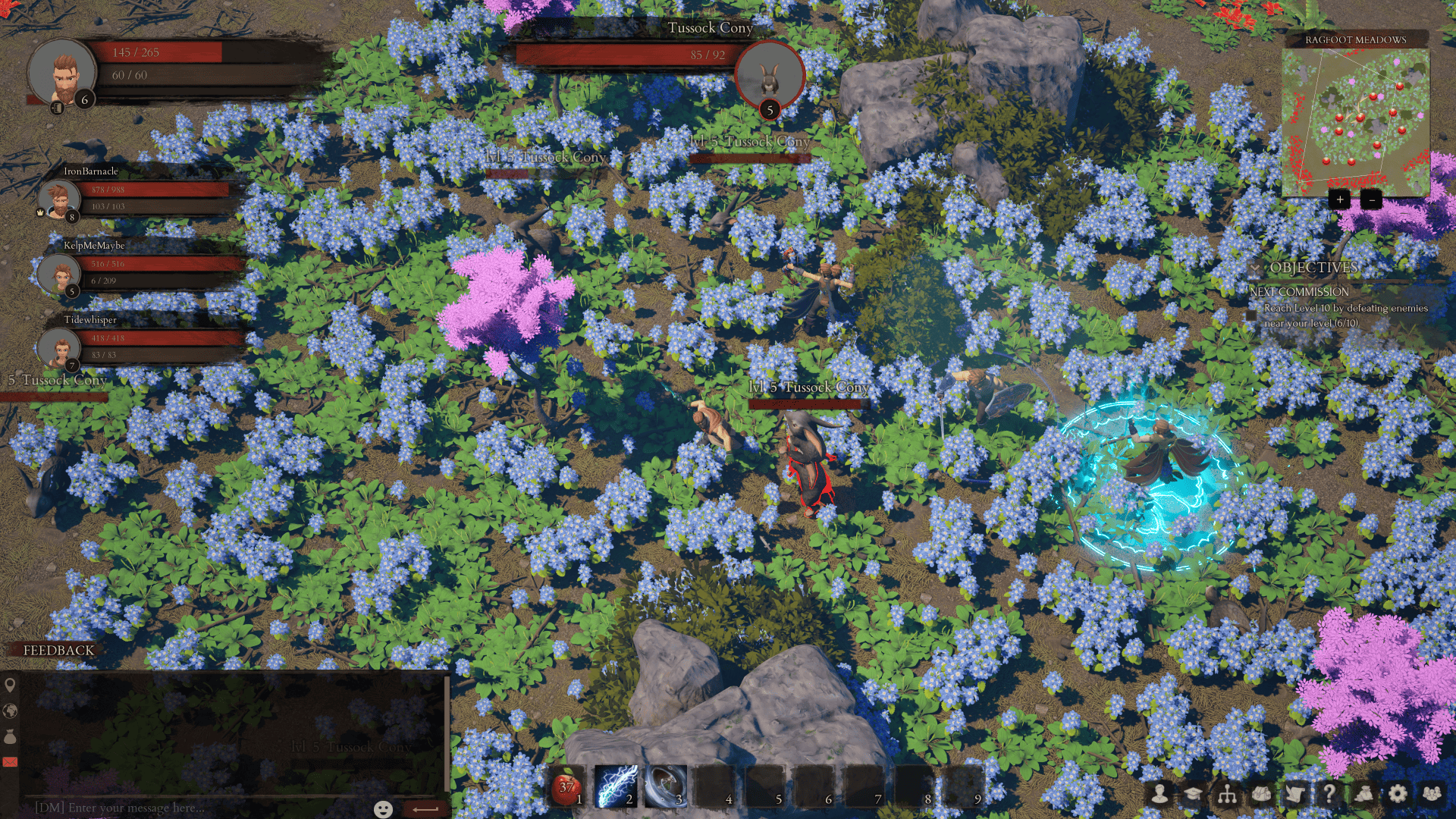 Pirate Royalty party leveling together while fighting Tussock Cony rabbits in Ragfoot Meadows on Saltbreak Isle